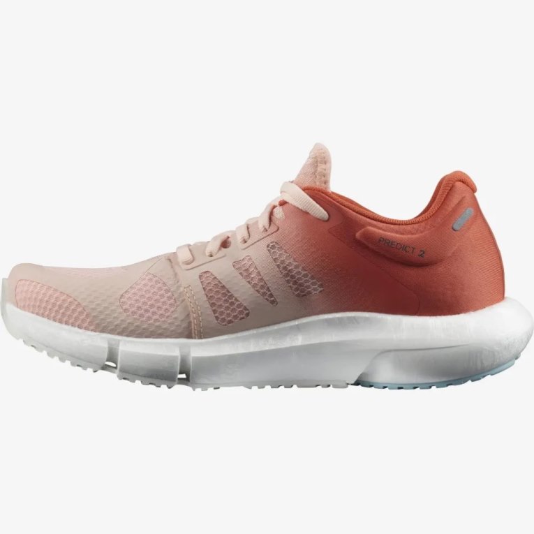 Pink / Orange Salomon Predict 2 Women's Running Shoes | IE CO5801